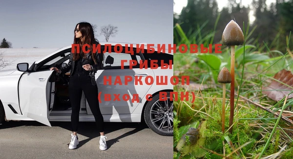 мдма Бородино