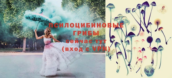 мдма Бородино