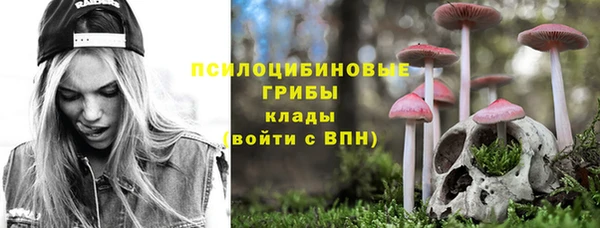 мдма Бородино