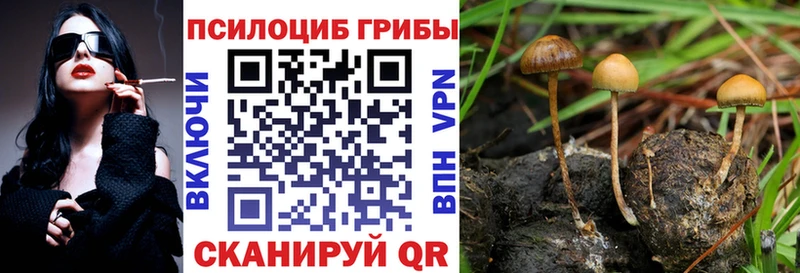 Псилоцибиновые грибы Psilocybine cubensis  blacksprut сайт  Яблоновский 